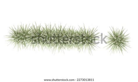 Grass Plan: Over 18,737 Royalty-Free Licensable Stock Illustrations ...