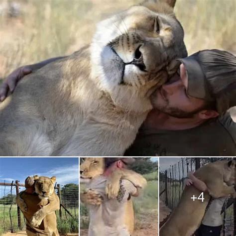 Heartwarming Bond: Lioness Shares Affectionate Hug with Rescuer