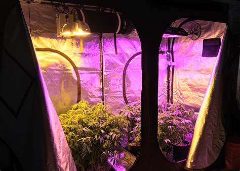 Grow Tent Setup Guide - Hydrobuilder Learning Center