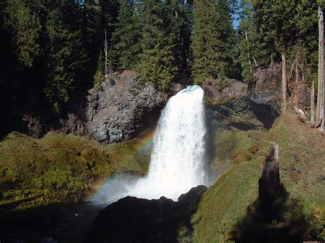 Best Hikes in Mount Hood National Forest (OR) | Trailhead Traveler