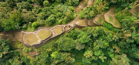 Ciudad Perdida, Colombia – Global Heritage Fund