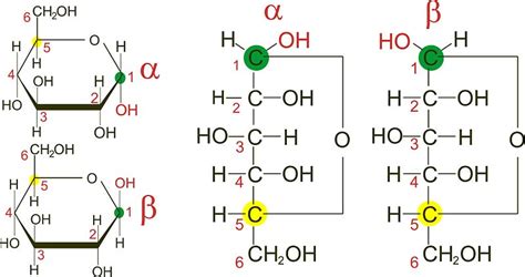 Difference Between Anomers and Epimers | Definition, Structure, Examples