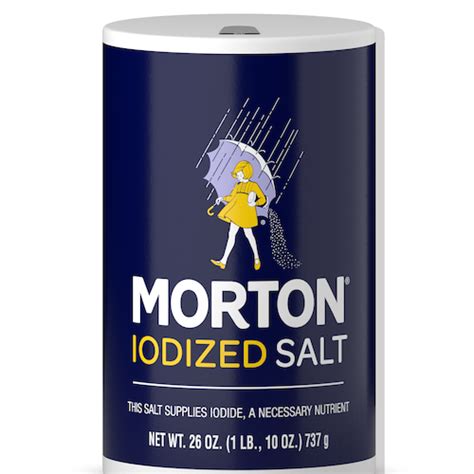 Buy Online Morton Iodized Salt 26 Oz | NJ USA