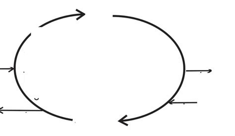 ATP Cycle diagram Diagram | Quizlet