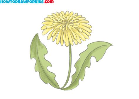 How to Draw a Dandelion - Easy Drawing Tutorial For Kids