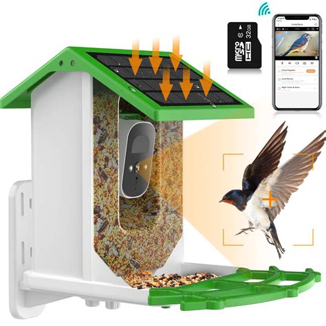 10 Best Bird Houses with Camera for Bird Watching - Hummingbirds Plus