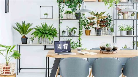 10 Best Office Desk Plants That Bring the Green to Workspace