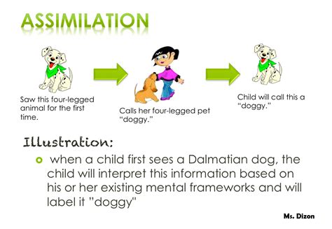 Schematic Knowledge Psychology Lesson Ideas: Schema Theory