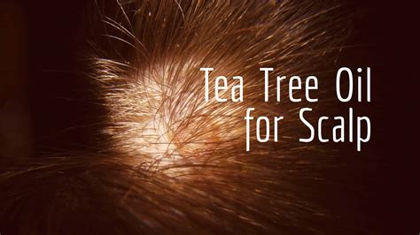 Tea Tree Oil for Scalp Problems