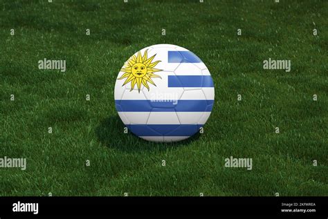 Soccer ball with Uruguay flag colors at a stadium on green grasses ...