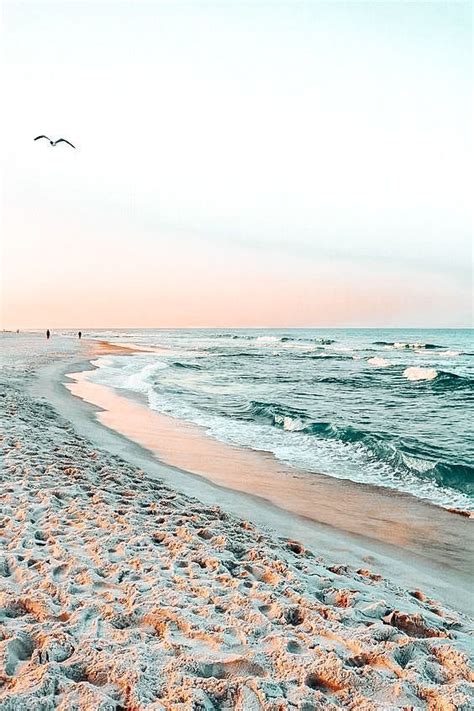 Share more than 83 beach wallpaper aesthetic - 3tdesign.edu.vn