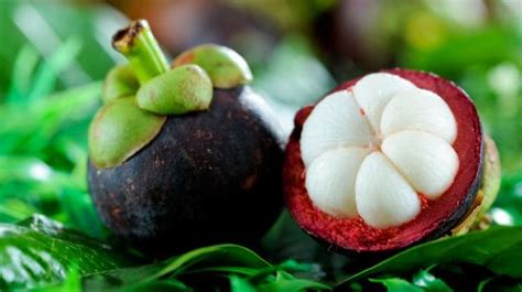 Load up on Mangosteen: What Makes this Tropical Fruit Such a Treat? - NDTV Food