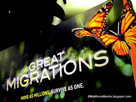 Quotes The Great Migration. QuotesGram