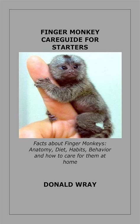 FINGER MONKEY CAREGUIDE FOR STARTERS: Facts about Finger Monkeys ...