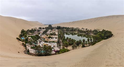 nature, landscape, desert, sand, oasis, water, palm trees, lake ...