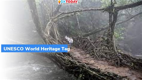 Meghalaya Living Root Bridges – GKToday