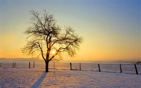 Winter Sunrise Wallpaper - WallpaperSafari