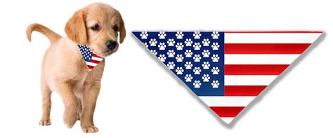 American Flag Dog Bandana