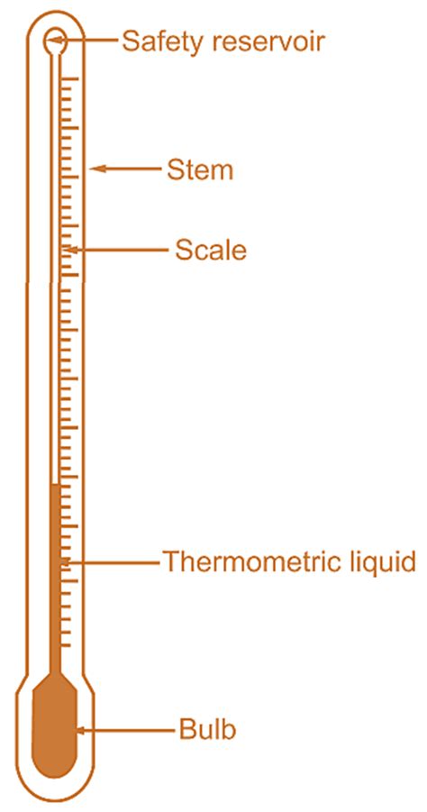 What is Liquid in Glass Thermometer? Working, Diagram, Construction ...