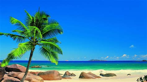 1920x1200px | free download | HD wallpaper: Beach, beaches, 2560x1440 ...