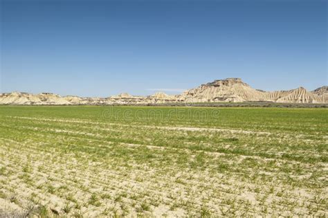 Semi-desert landscape stock photo. Image of arid, farming - 27571726