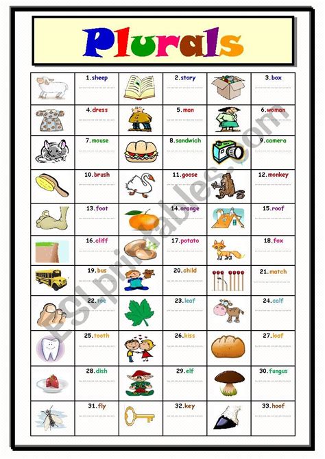 Singular And Plural Nouns Exercises