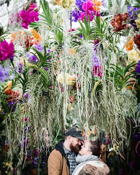 Just 14 Pictures Of The Kew Gardens Orchids Festival Looking On Point ...