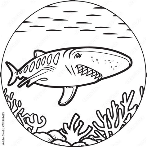 Whale Shark coloring pages. Whale Shark outline for coloring book Stock ...