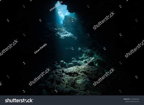 2,592 Dark Underwater Cave Images, Stock Photos & Vectors | Shutterstock