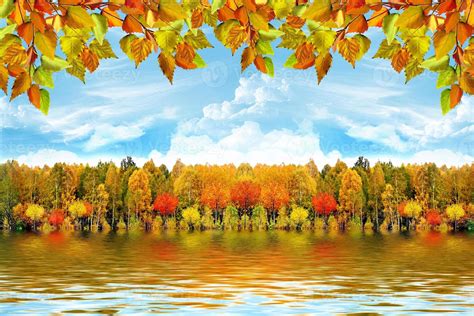 autumn landscape. Nature. 10019800 Stock Photo at Vecteezy