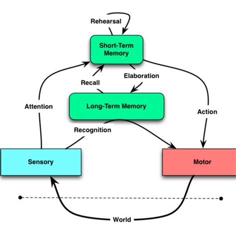 Our cognitive system | Download Scientific Diagram