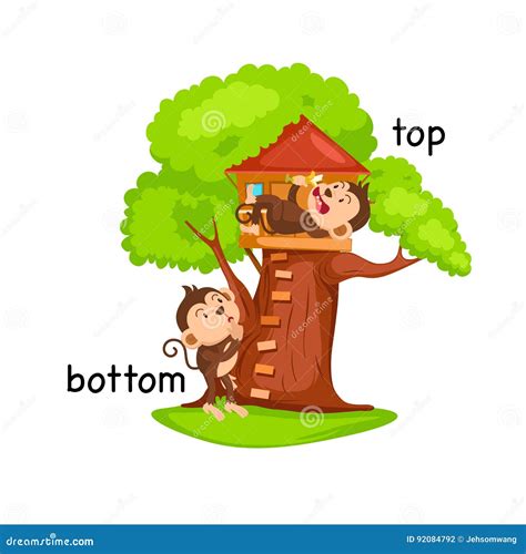 Bottom Top Stock Illustrations – 7,794 Bottom Top Stock Illustrations ...