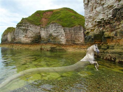 What is a Water-Horse? - | Myths & monsters, Water, Water spirit