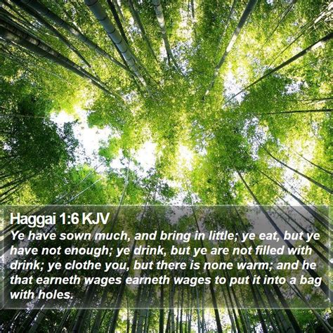 Haggai 1:6 KJV Bible Verse Images