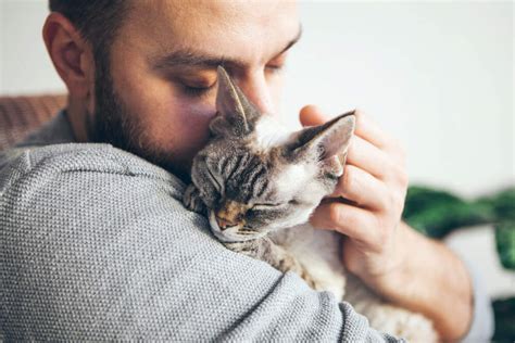 Do Cats Feel Love? | Comfort Zone