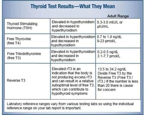 thyroid function tests - Via Hiraeth