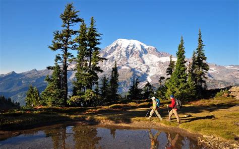 Mount Rainier National Park, Washington State • Explorer Sue