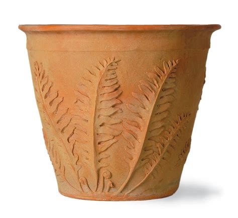 Fern Planter