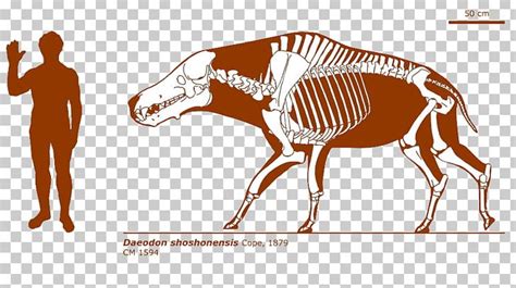 Daeodon ARK: Survival Evolved Dinosaur Even-toed Ungulates Short-faced ...