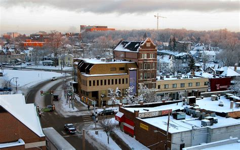 Winter in Ann Arbor, Michigan photo on Sunsurfer