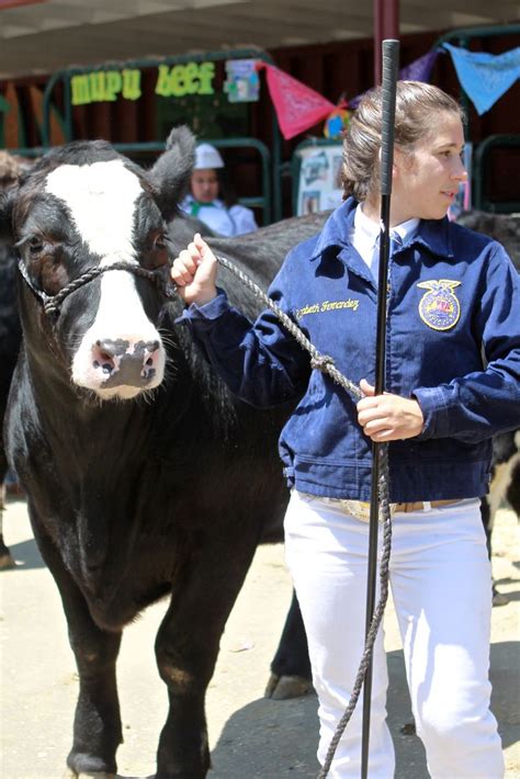 The Junior Livestock Auction at the Ventura County Fair. 2014 Ventura ...