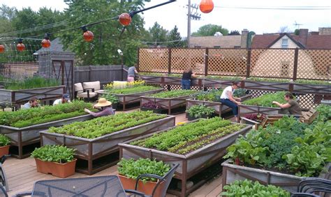 Rooftop Terrace Vegetable Garden Ideas - Perfect Image Resource - duwikw