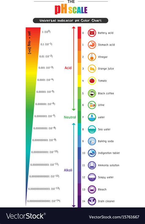 Ph scale universal indicator ph color chart Vector Image