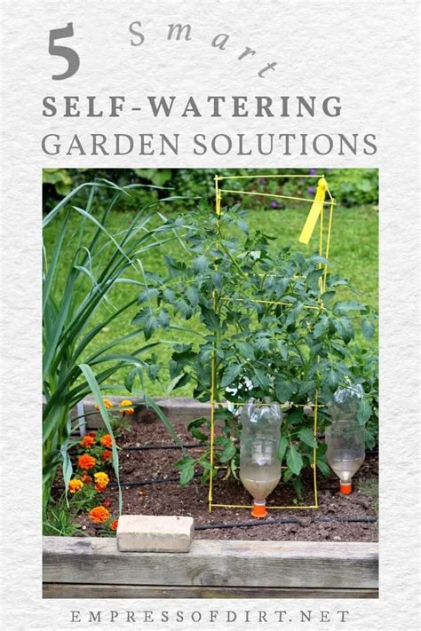 Smart & Simple Ways to Automate Your Garden Watering — Empress of Dirt