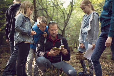 Essential Foraging Tools: 5 Must-Have Items for Successful Wild Food ...