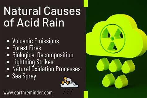 Main Causes of Acid Rain: By Natural and Human Activities