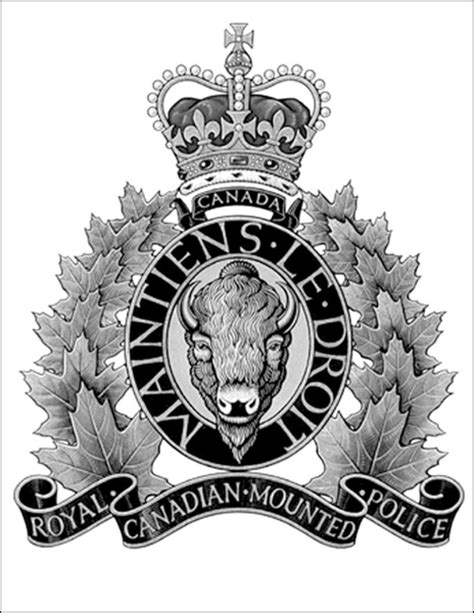 Carlyle RCMP officer charged after investigation into complaint ...