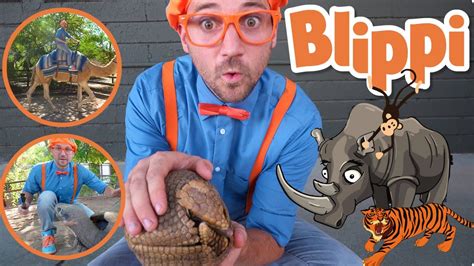 45 Blippi Zoo HD - Coloring Pages Printable