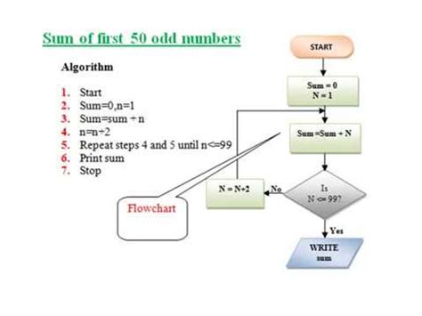 Algorithm Examples