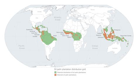 Palm Oil Deforestation Map